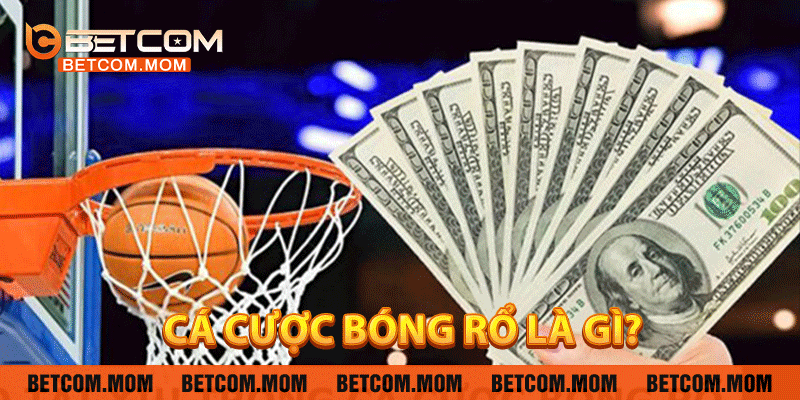 Cá cược bóng rổ là gì?