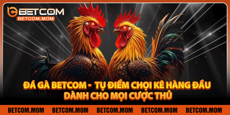 Đá Gà Betcom – Tụ Điểm Chọi Kê Hàng Đầu Dành Cho Mọi Cược Thủ