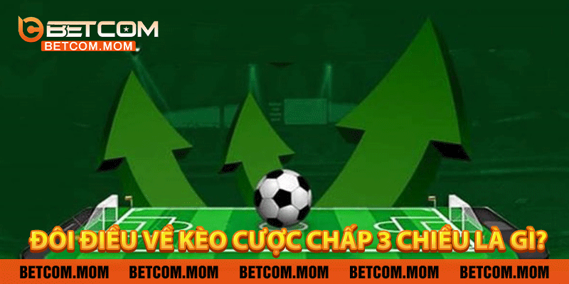 Đôi điều về kèo cược chấp 3 chiều là gì?
