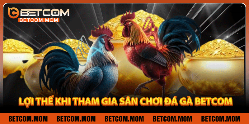 Lợi thế khi tham gia sân chơi đá gà Betcom
