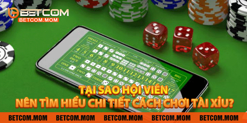 Tại sao hội viên nên tìm hiểu chi tiết cách chơi tài xỉu?