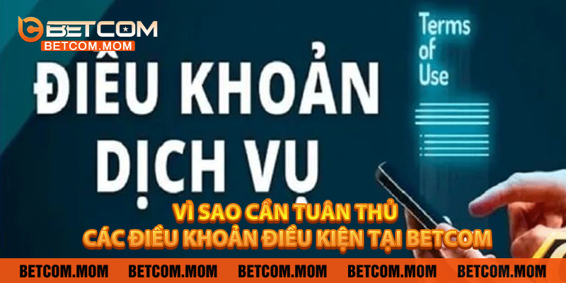 Vì sao cần tuân thủ các điều khoản điều kiện tại Betcom