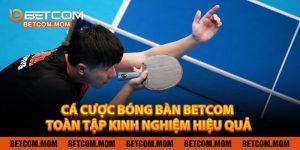 Cá Cược Bóng Bàn BETCOM – Toàn Tập Kinh Nghiệm, Mẹo Chơi Và Cách Đặt Cược Hiệu Quả