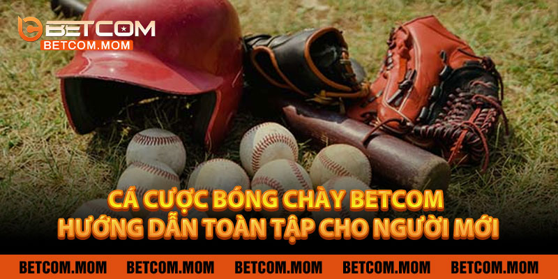 Cá Cược Bóng Chày BETCOM – Hướng Dẫn Toàn Tập Cho Người Mới