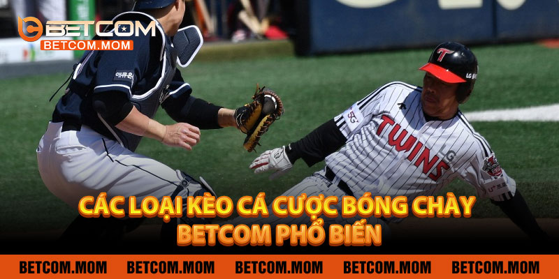 Các Loại Kèo Cá Cược Bóng Chày BETCOM Phổ Biến