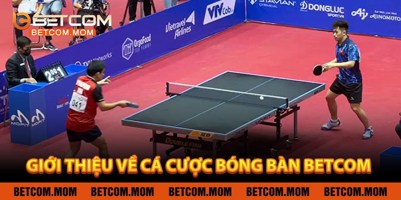 Giới Thiệu Về Cá Cược Bóng Bàn BETCOM