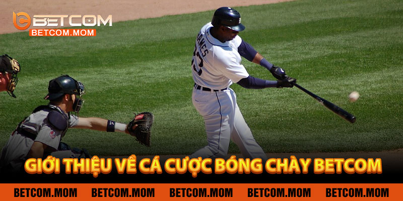 Giới Thiệu Về Cá Cược Bóng Chày BETCOM