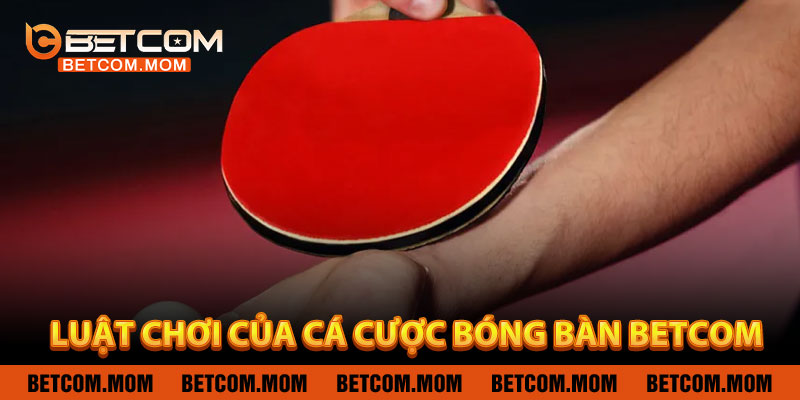 Luật Chơi Cơ Bản Của Cá Cược Bóng Bàn BETCOM